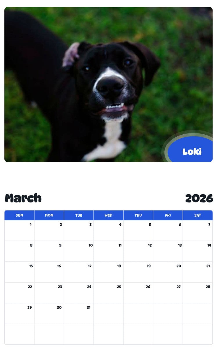 November 2025 - October 2026 Loki - Pawidols Pet Calendar