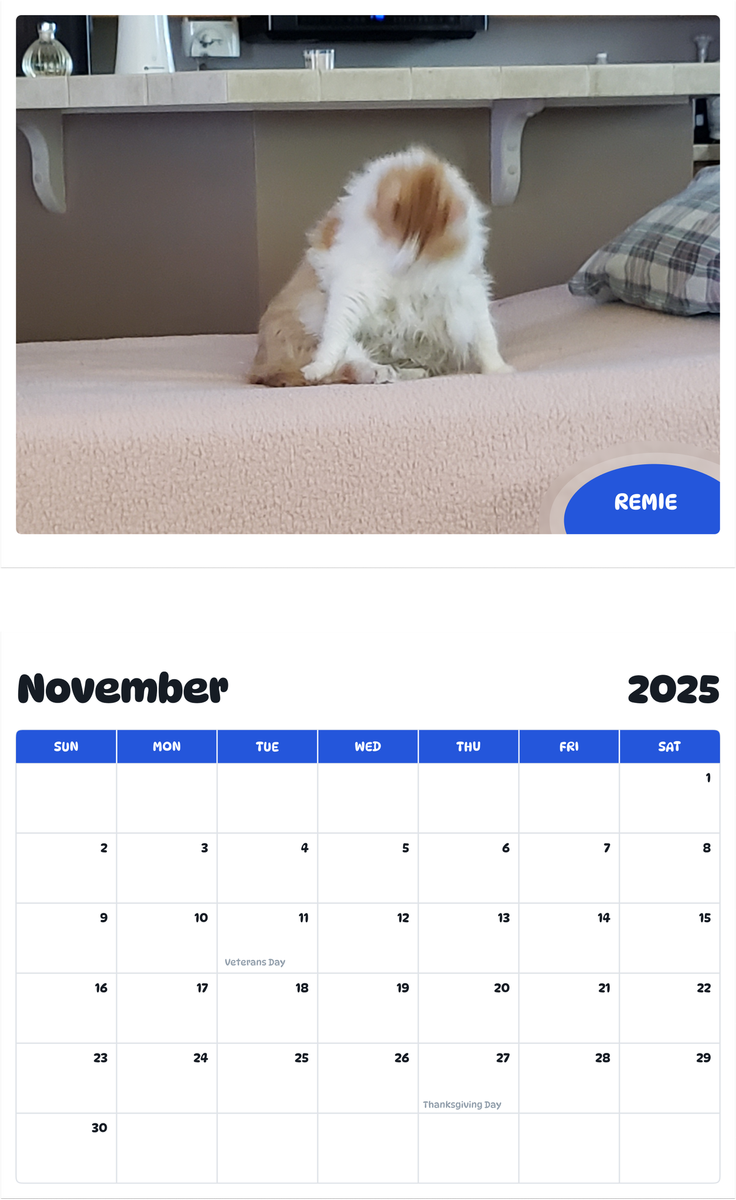 July 2025 - June 2026 Remie - Pawidols Pet Calendar
