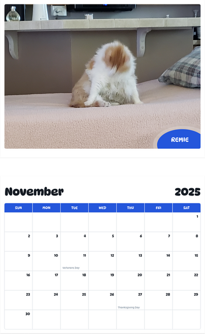 July 2025 - June 2026 Remie - Pawidols Pet Calendar