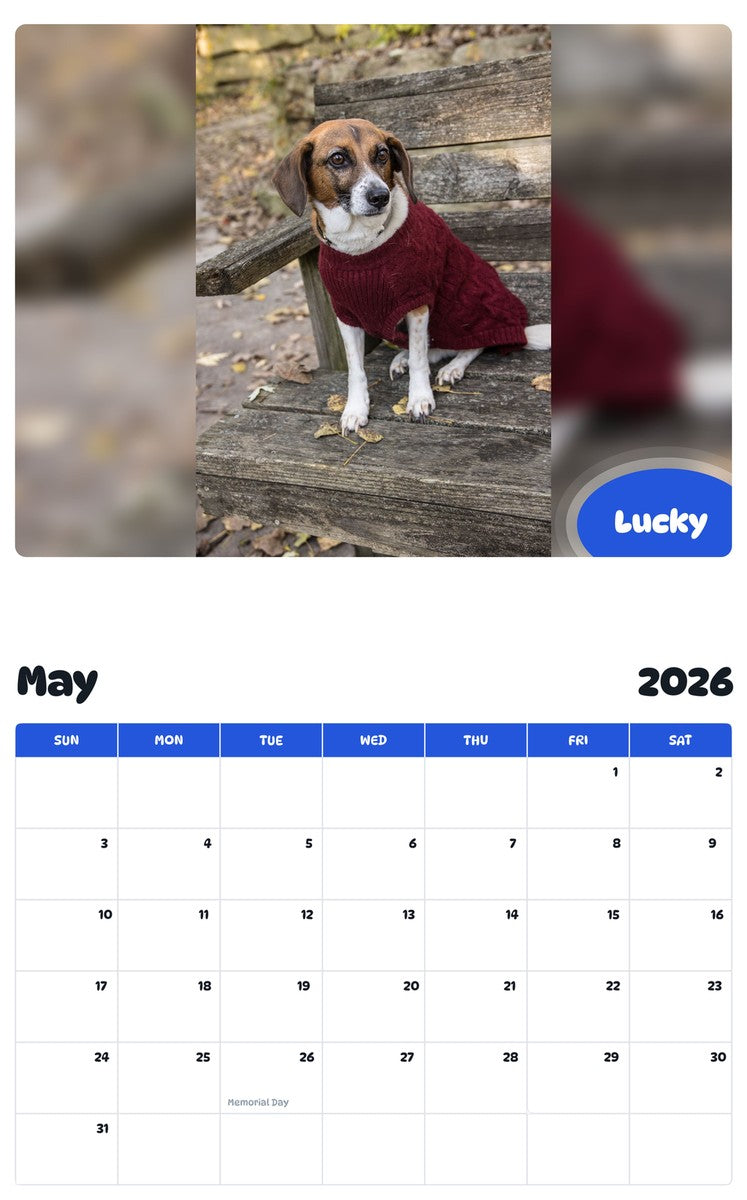 2026 - 2027 Lucky - Pawidols Pet Calendar