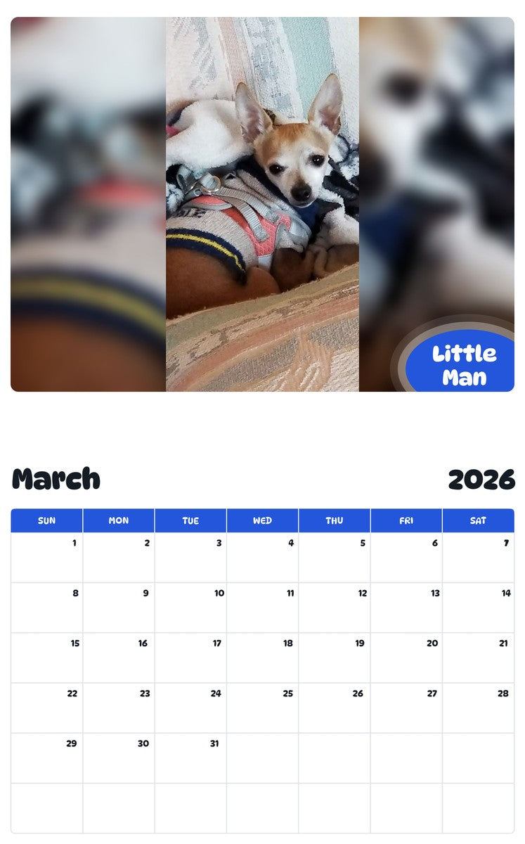 November 2025 - October 2026 Little Man - Pawidols Pet Calendar