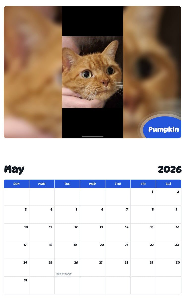 2026 - 2027 Pumpkin - Pawidols Pet Calendar