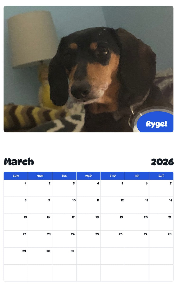November 2025 - October 2026 Rygel - Pawidols Pet Calendar