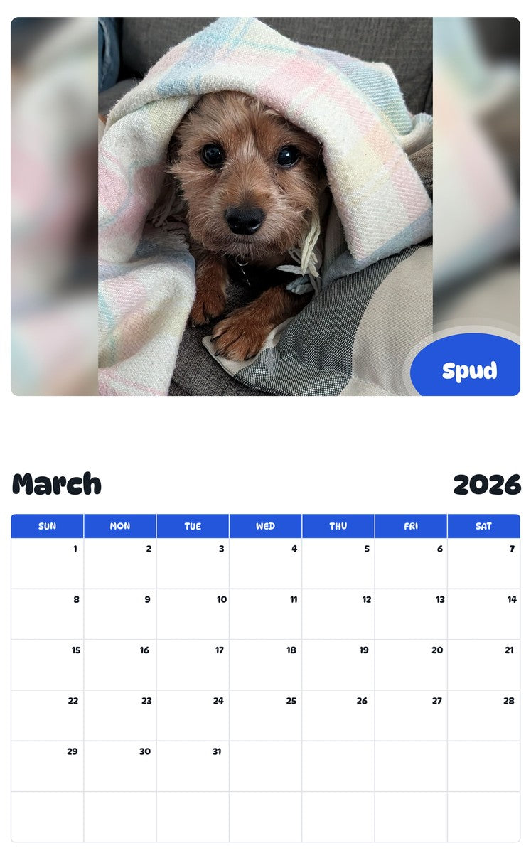November 2025 - October 2026 Spud - Pawidols Pet Calendar