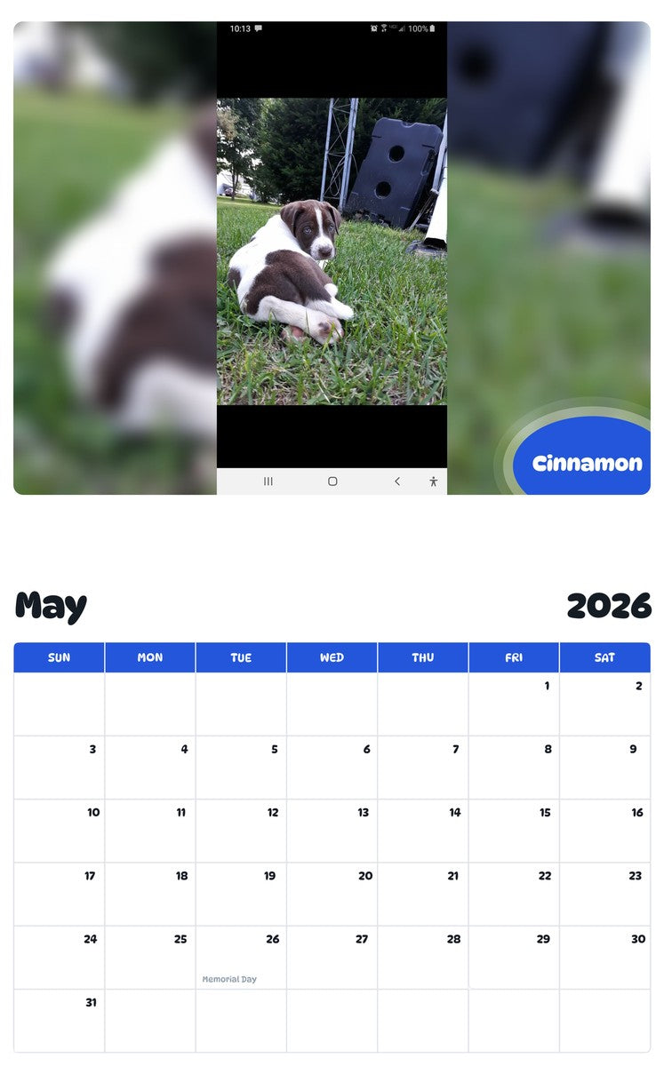 2026 - 2027 Cinnamon - Pawidols Pet Calendar