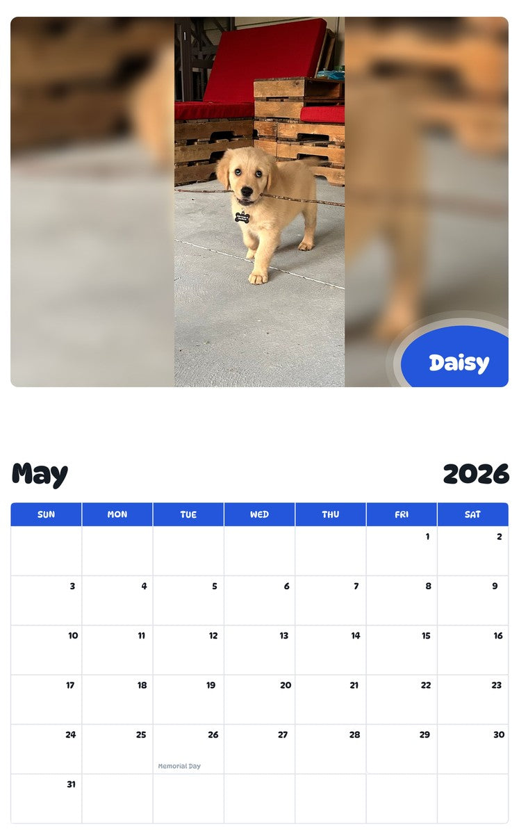 2026 - 2027 Daisy - Pawidols Pet Calendar