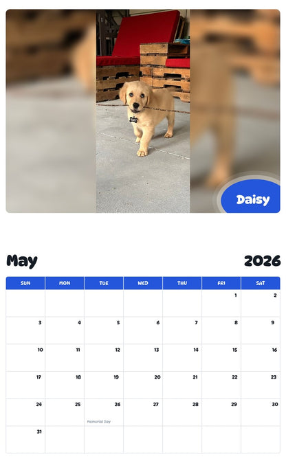 2026 - 2027 Daisy - Pawidols Pet Calendar