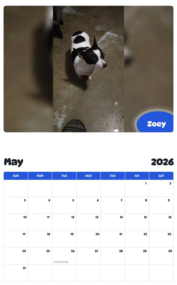 2026 - 2027 Zoey - Pawidols Pet Calendar