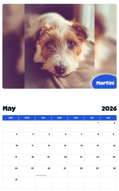 2026 - 2027 Martini - Pawidols Pet Calendar