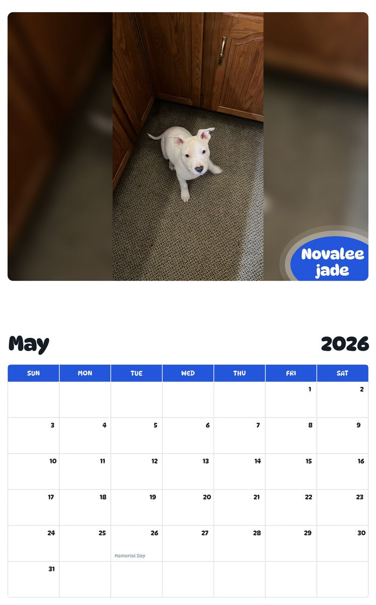 2026 - 2027 Novalee jade - Pawidols Pet Calendar