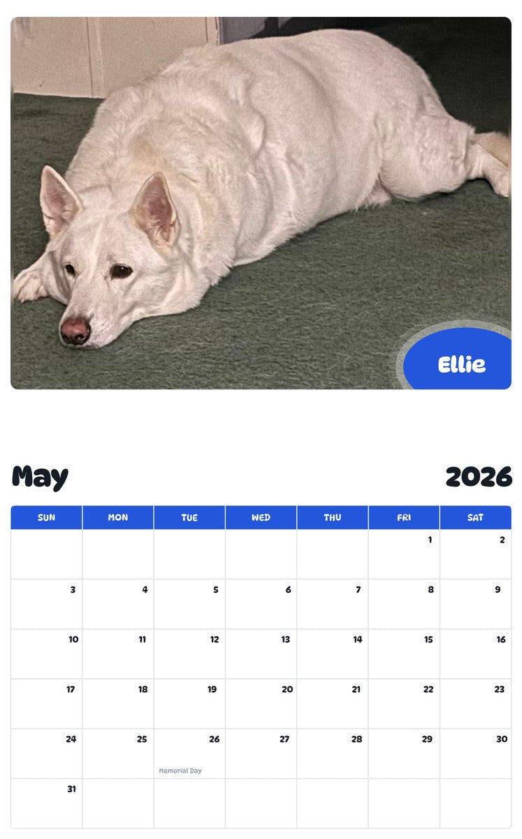 2026 - 2027 Ellie - Pawidols Pet Calendar