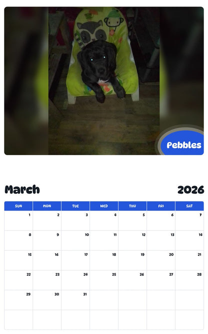 November 2025 - October 2026 Pebbles - Pawidols Pet Calendar