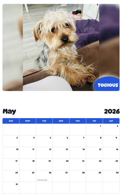 2026 - 2027 TOBIOUS - Pawidols Pet Calendar