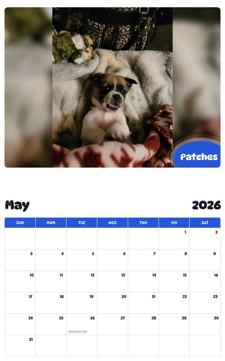 2026 - 2027 Patches - Pawidols Pet Calendar