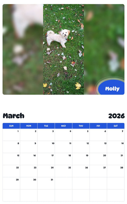 November 2025 - October 2026 Molly - Pawidols Pet Calendar