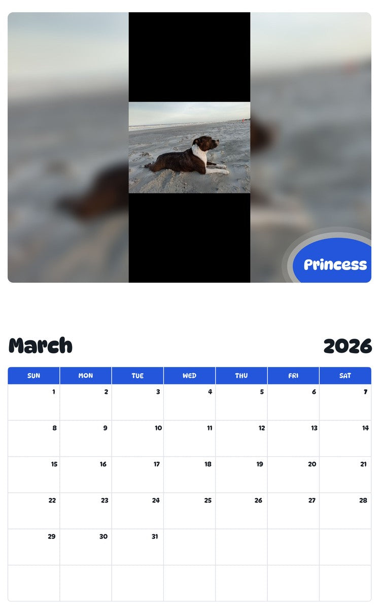 November 2025 - October 2026 Princess - Pawidols Pet Calendar