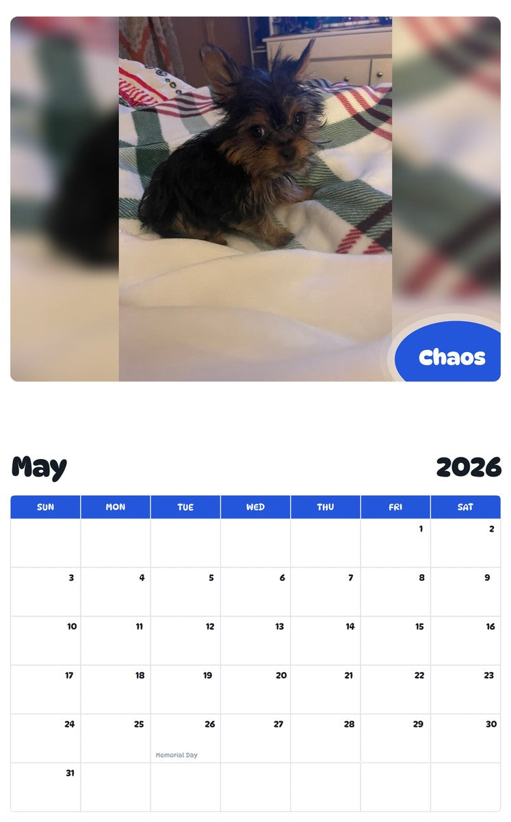 2026 - 2027 Chaos - Pawidols Pet Calendar