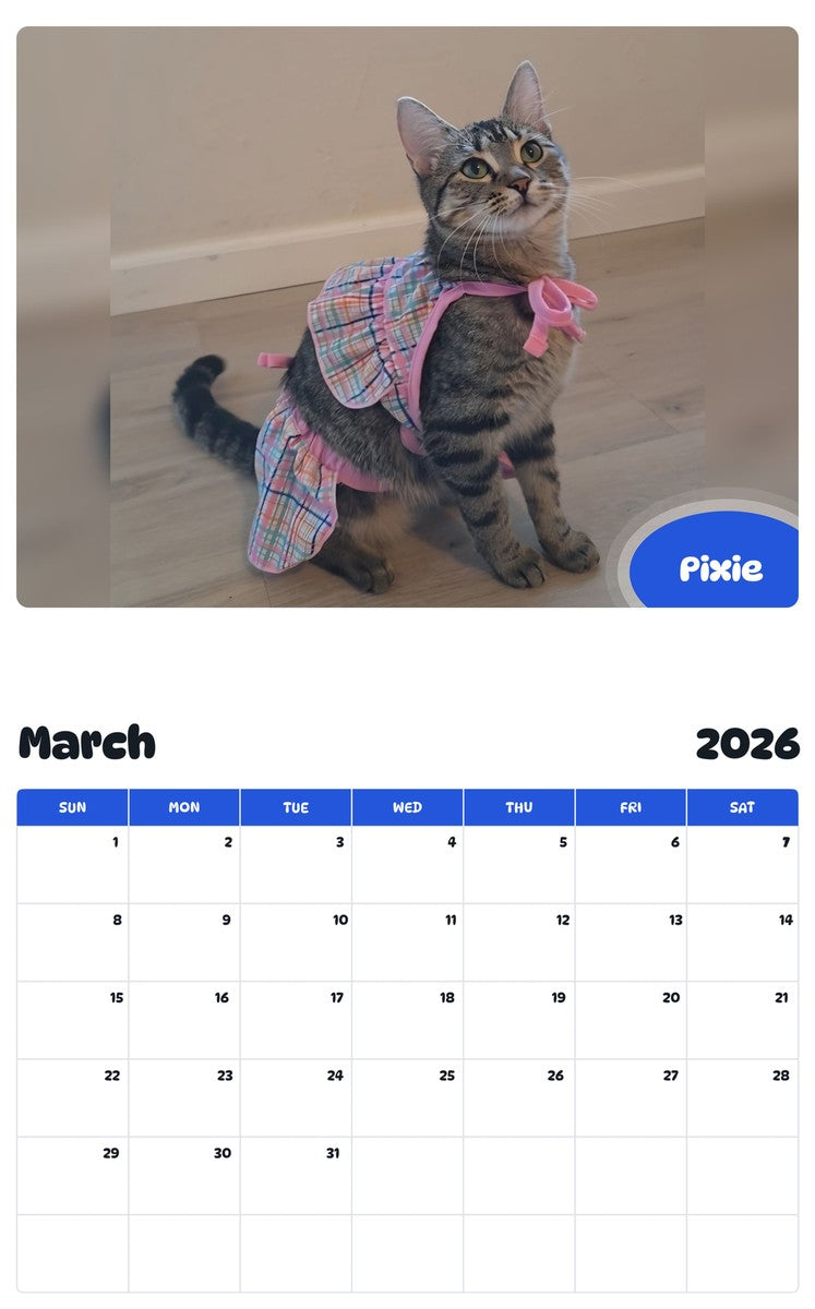 November 2025 - October 2026 Pixie - Pawidols Pet Calendar