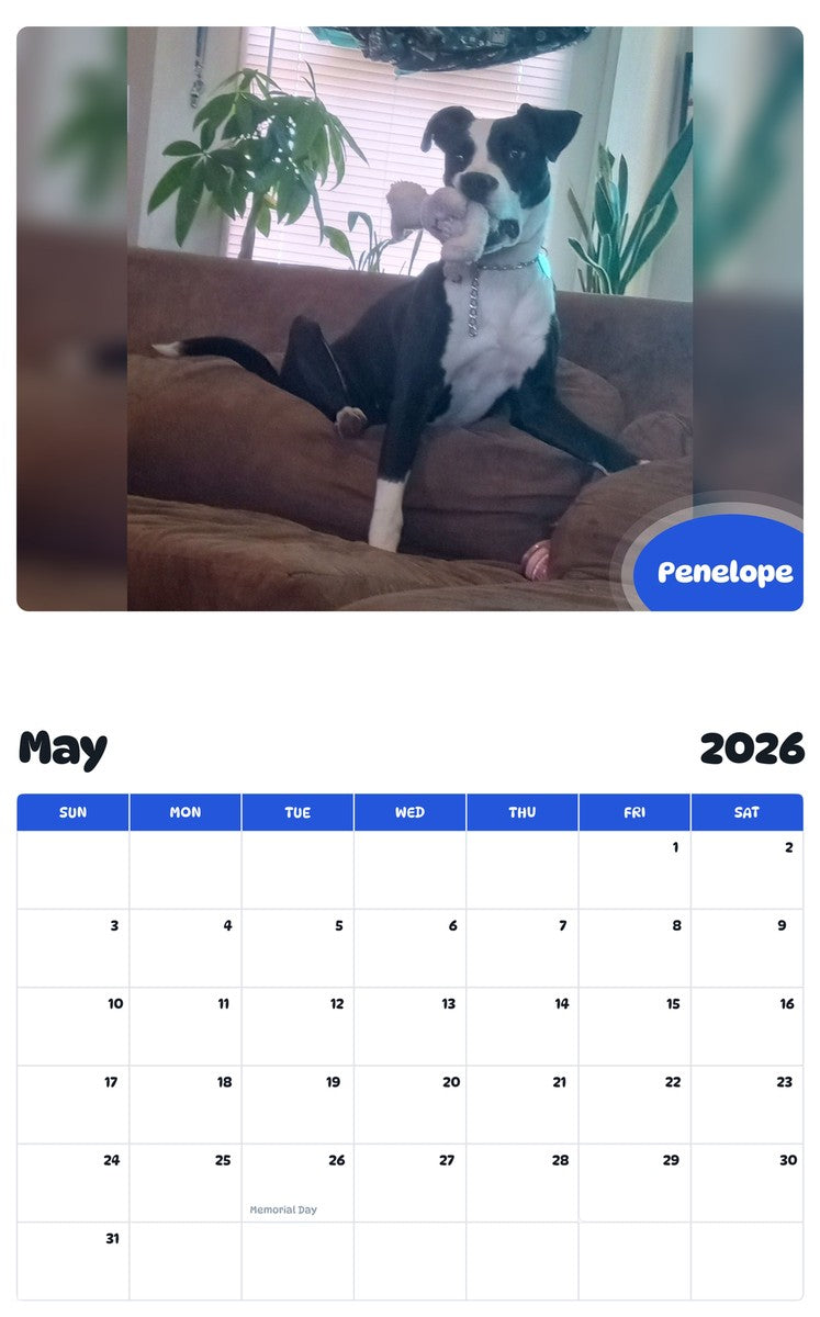 2026 - 2027 Penelope - Pawidols Pet Calendar