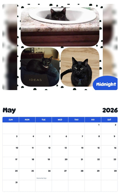 2026 - 2027 Midnight - Pawidols Pet Calendar
