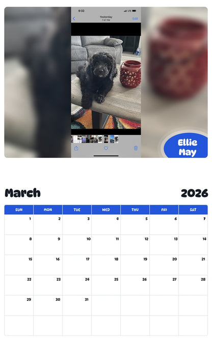 November 2025 - October 2026 Ellie May - Pawidols Pet Calendar