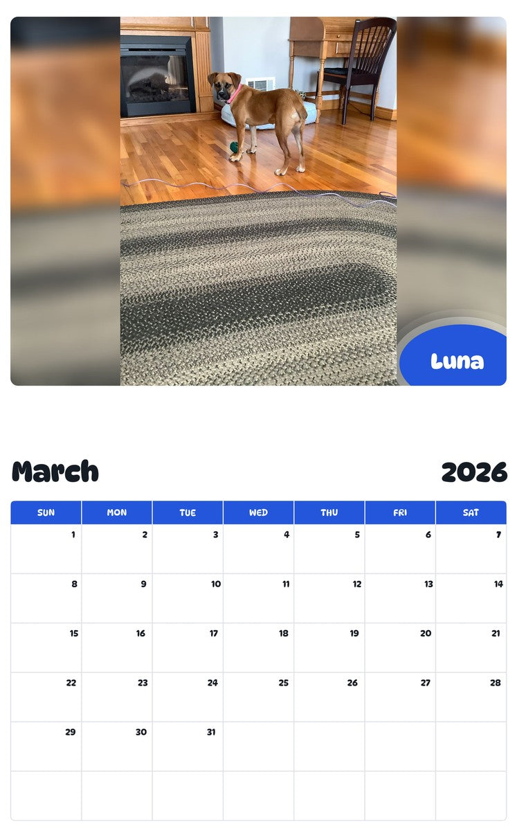 November 2025 - October 2026 Luna - Pawidols Pet Calendar