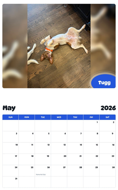 2026 - 2027 Tugg - Pawidols Pet Calendar