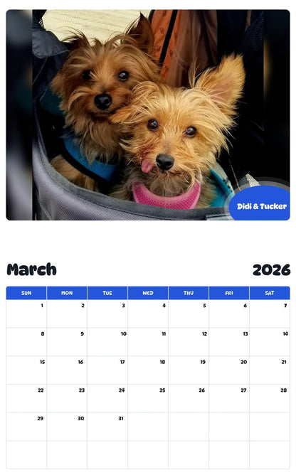 November 2025 - October 2026 Didi & Tucker - Pawidols Pet Calendar
