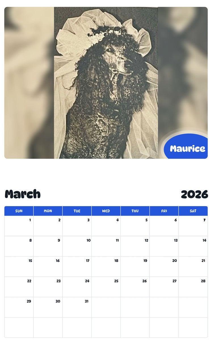 November 2025 - October 2026 Maurice - Pawidols Pet Calendar