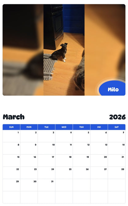 November 2025 - October 2026 Milo - Pawidols Pet Calendar