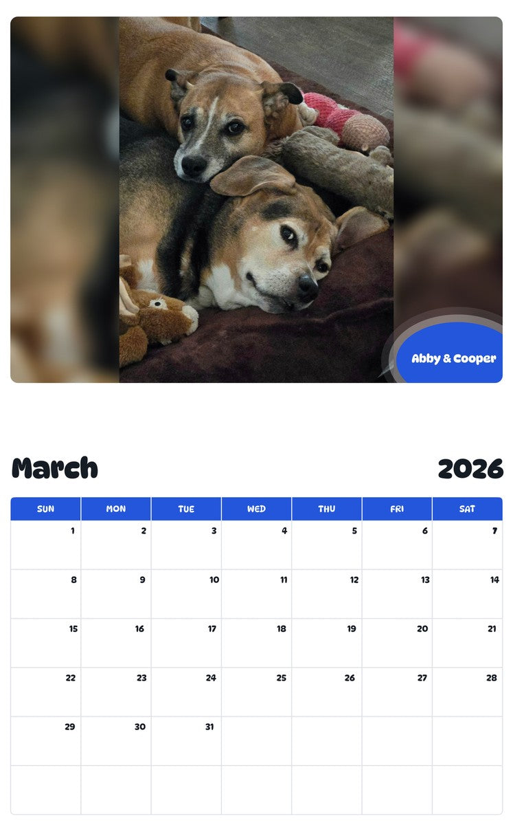 November 2025 - October 2026 Abby & Cooper - Pawidols Pet Calendar