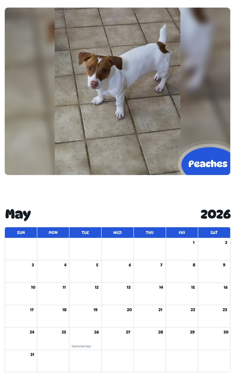 2026 - 2027 Peaches - Pawidols Pet Calendar