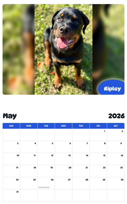 2026 - 2027 Ripley - Pawidols Pet Calendar