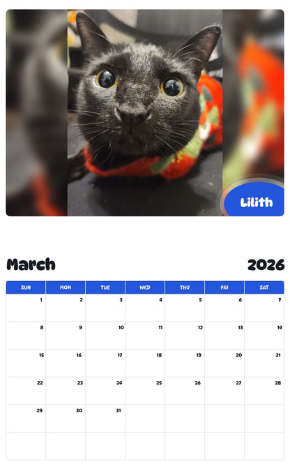 November 2025 - October 2026 Lilith - Pawidols Pet Calendar