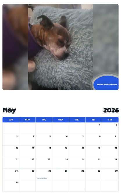 2026 - 2027 Amber Marie Johnson - Pawidols Pet Calendar