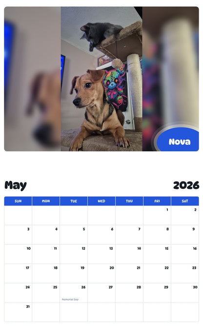 2026 - 2027 Nova - Pawidols Pet Calendar