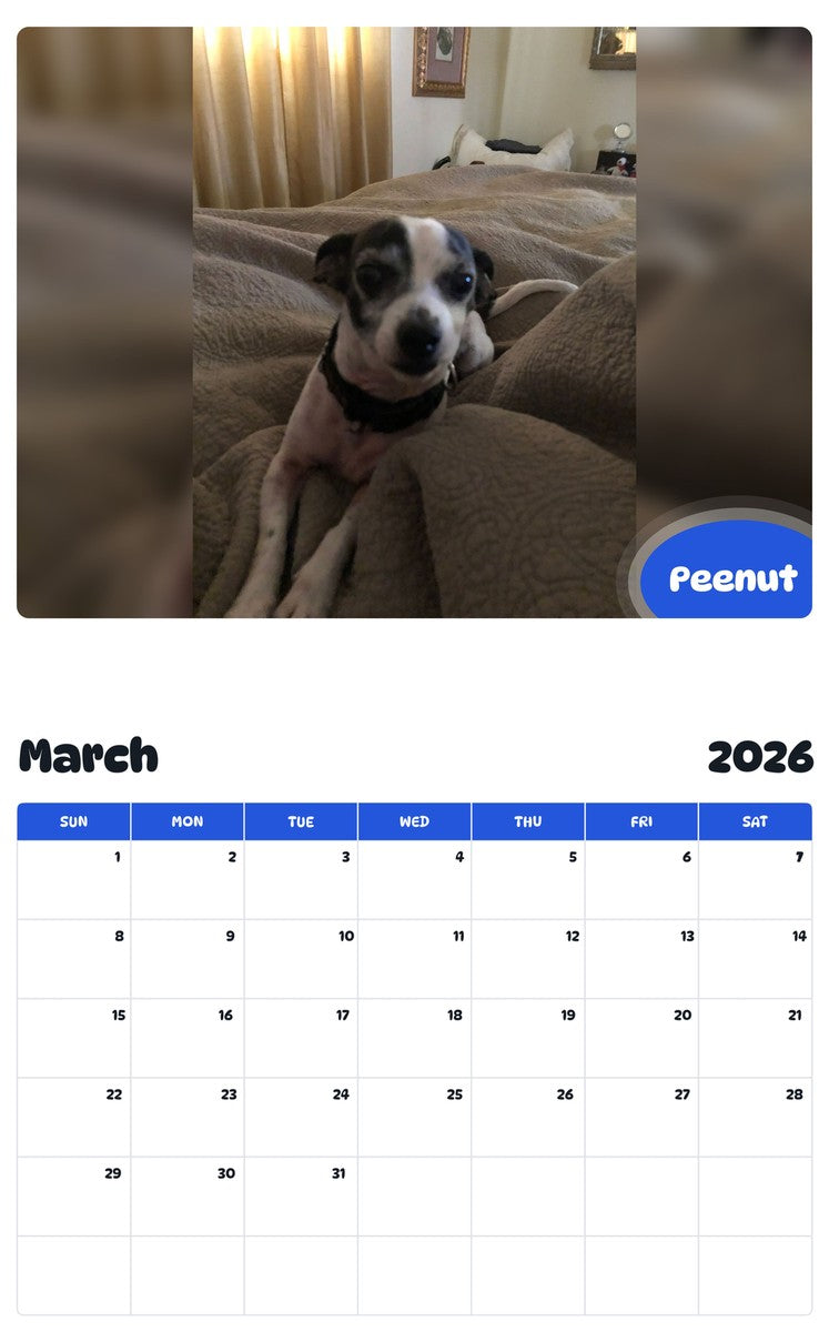 November 2025 - October 2026 Peenut - Pawidols Pet Calendar