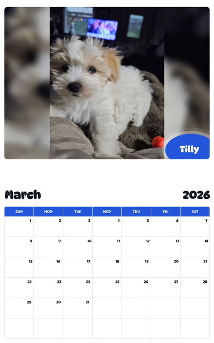 November 2025 - October 2026 Tilly - Pawidols Pet Calendar