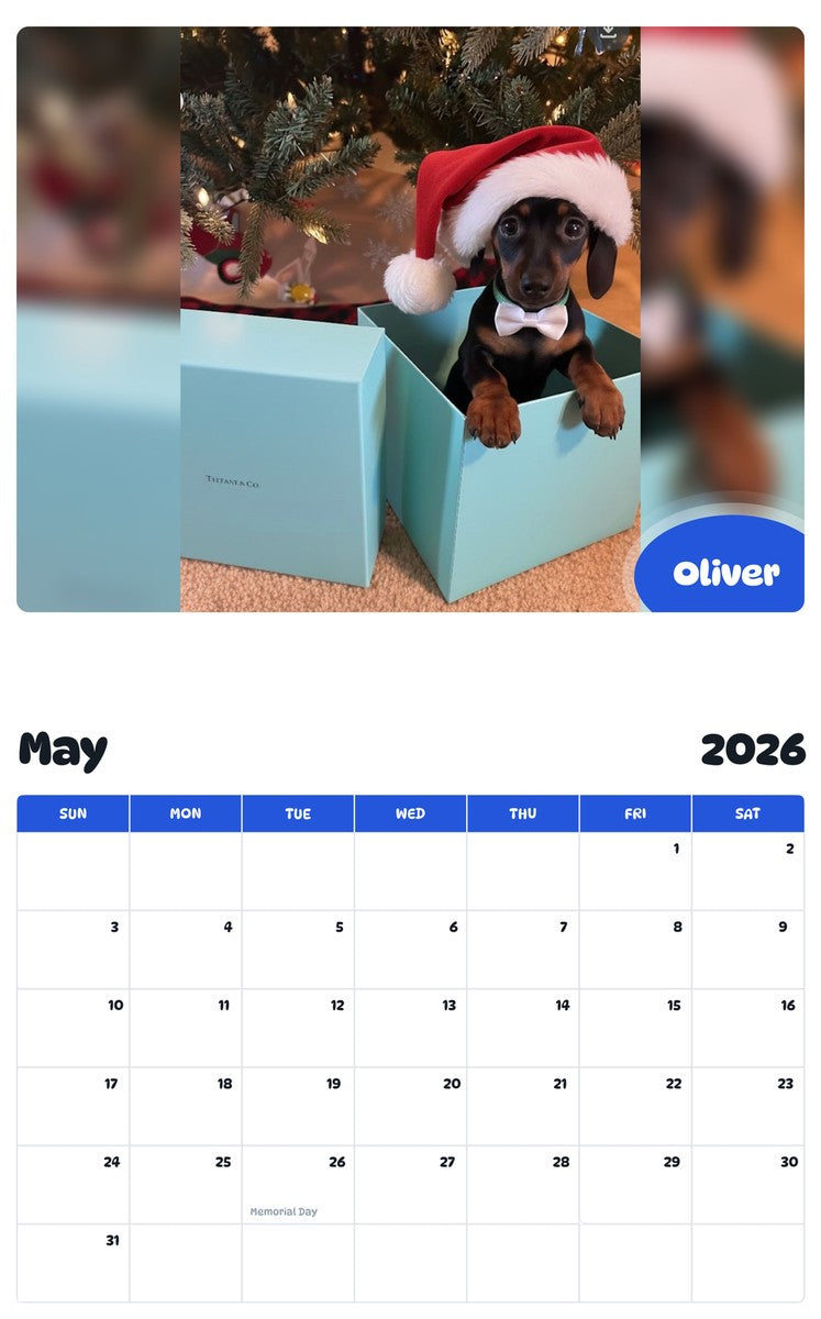 2026 - 2027 Oliver - Pawidols Pet Calendar