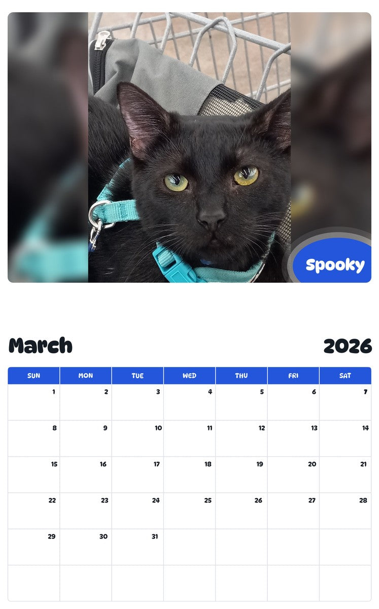 November 2025 - October 2026 Spooky - Pawidols Pet Calendar