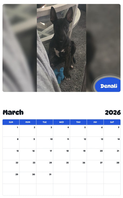 November 2025 - October 2026 Denali - Pawidols Pet Calendar
