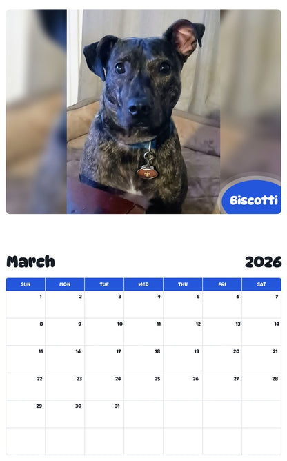 November 2025 - October 2026 Biscotti - Pawidols Pet Calendar
