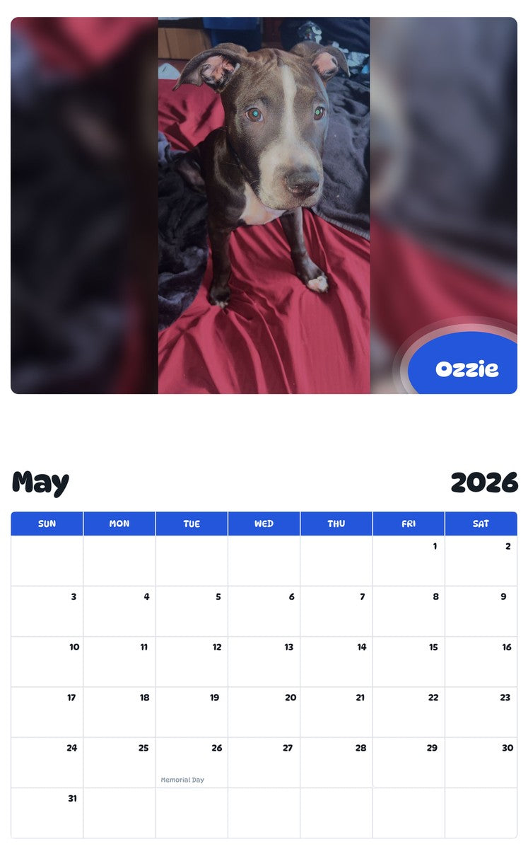 2026 - 2027 Ozzie - Pawidols Pet Calendar