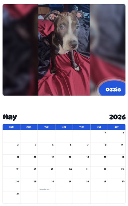 2026 - 2027 Ozzie - Pawidols Pet Calendar