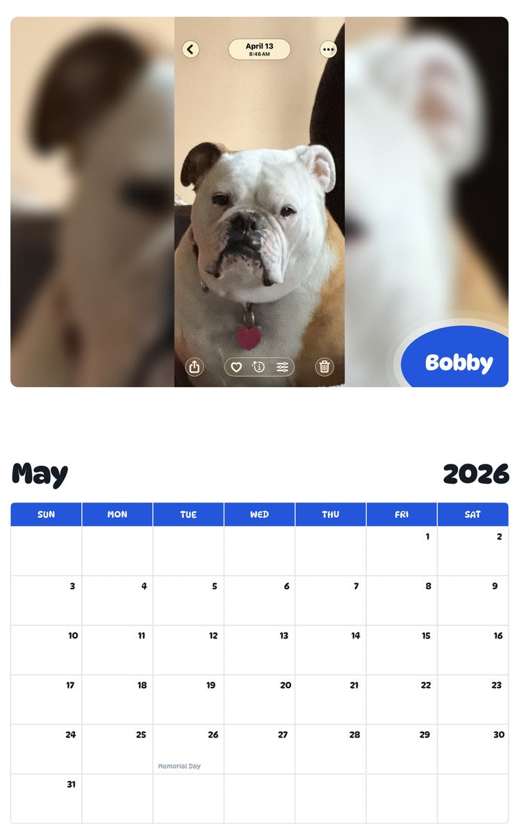 2026 - 2027 Bobby - Pawidols Pet Calendar