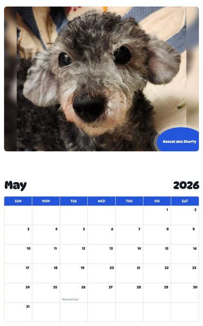 2026 - 2027 Rascal aka Shorty - Pawidols Pet Calendar