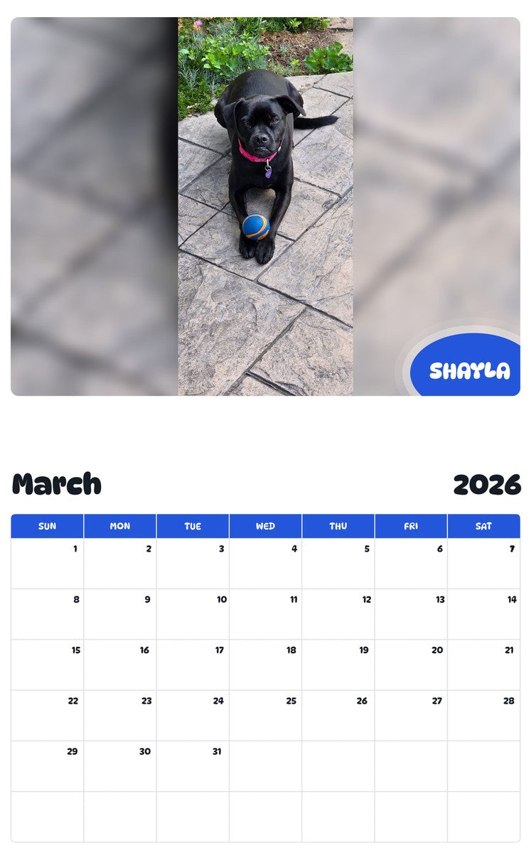 November 2025 - October 2026 SHAYLA - Pawidols Pet Calendar