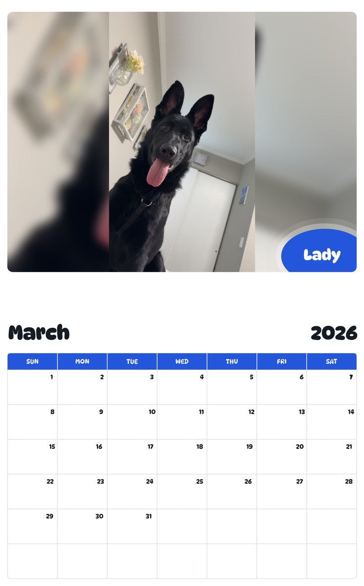 November 2025 - October 2026 Lady - Pawidols Pet Calendar