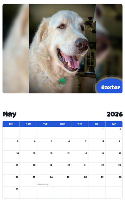 2026 - 2027 Baxter - Pawidols Pet Calendar