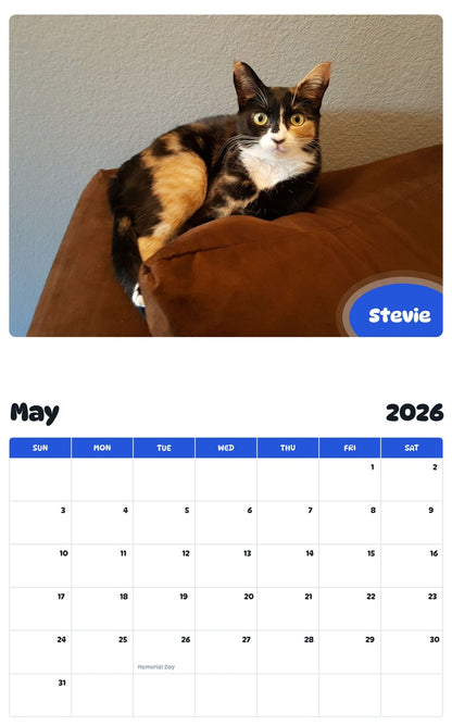 2026 - 2027 Stevie - Pawidols Pet Calendar